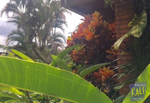 Venta lote Sabana Sur 3306m2 ideal condos / LOT x sale Sabana Sur 3306sqm