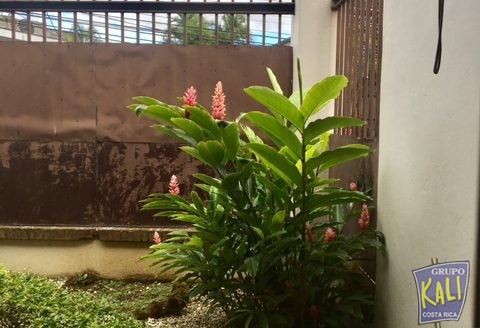 Venta edificio de 3 aptos Sn Pedro / 3 aptos building x sale San Pedro