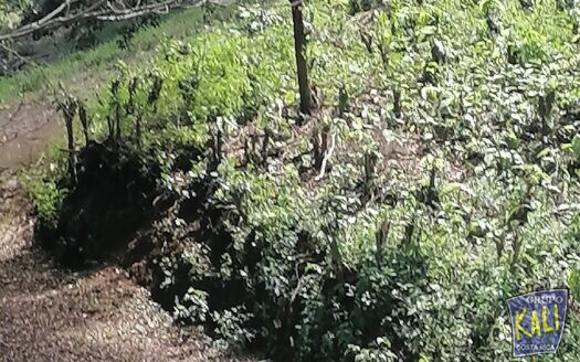 VENTA LOTE PIEDADES 85.912M2 HERMOSA VISTA/GREAT VIEW LOT PIEDADES 85.912M2