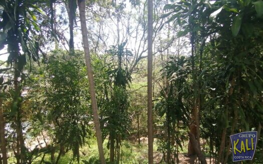 POZOS STA ANA TERRENO 5,465M2 2 EDIFICACIONES $620.000/POZOS STA ANA LOT AND 2 HOUSES FOR SALE