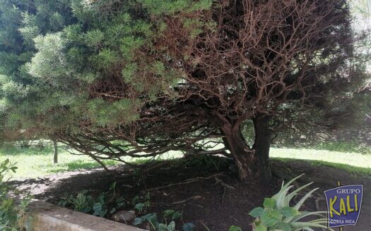 ESCAZU CASA VENTA LOTE 749M2 $390.000/ESCAZU HOUSE FOR SALE $390.000