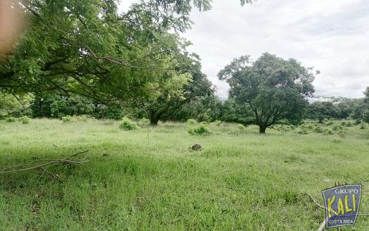 Venta Santa Ana 11.515m2 $170xm2 83 pajas de agua/Sta Ana lot 11.515m2 for sale