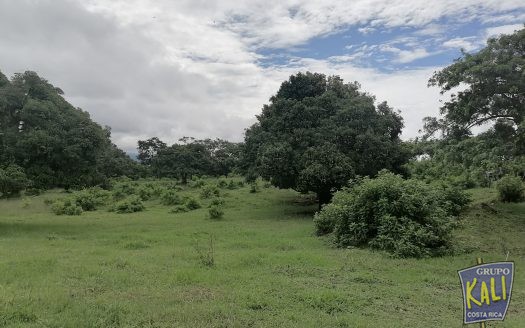 Venta Santa Ana 11.515m2 $170xm2 83 pajas de agua/Sta Ana lot 11.515m2 for sale