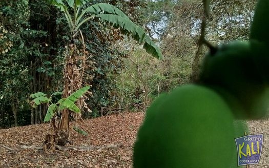 Atenas Rio Grande lote de 16729m2 ideal para desarrollar/Atenas Rio Grande lot 16729m2 for sale