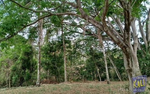 Atenas Rio Grande lote de 16729m2 ideal para desarrollar/Atenas Rio Grande lot 16729m2 for sale