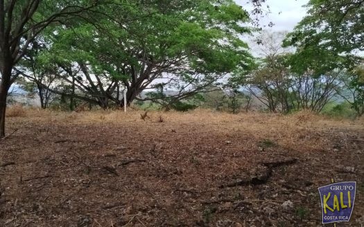 Atenas Rio Grande lote de 16729m2 ideal para desarrollar/Atenas Rio Grande lot 16729m2 for sale