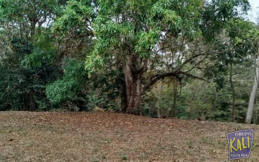 Atenas Rio Grande lote de 16729m2 ideal para desarrollar/Atenas Rio Grande lot 16729m2 for sale