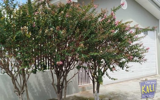 Venta  bella casa en Roma Pavas una planta /1 story house for sale Pavas