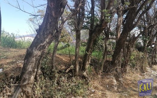 Geroma Rohrmoser venta lote 312m2/Geroma Rohrmoser lot for sale 312m2
