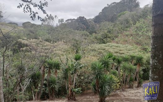 Sto Domingo Heredia bella propiedad 2 casas en venta $375.000/Heredia Sto Domingo property for sale $375000